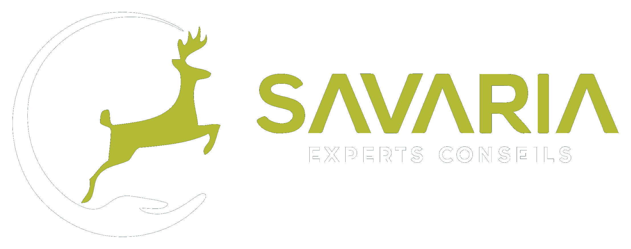 Savaria Experts-Conseils